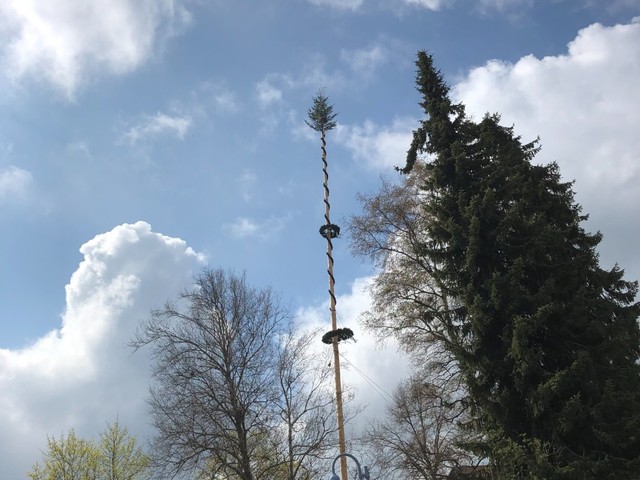 Unser Maibaum grüßt Buchenberg