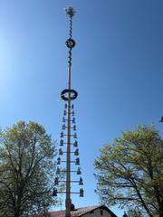 Buchenberger Maibaum 2025 - hoch hinaus!